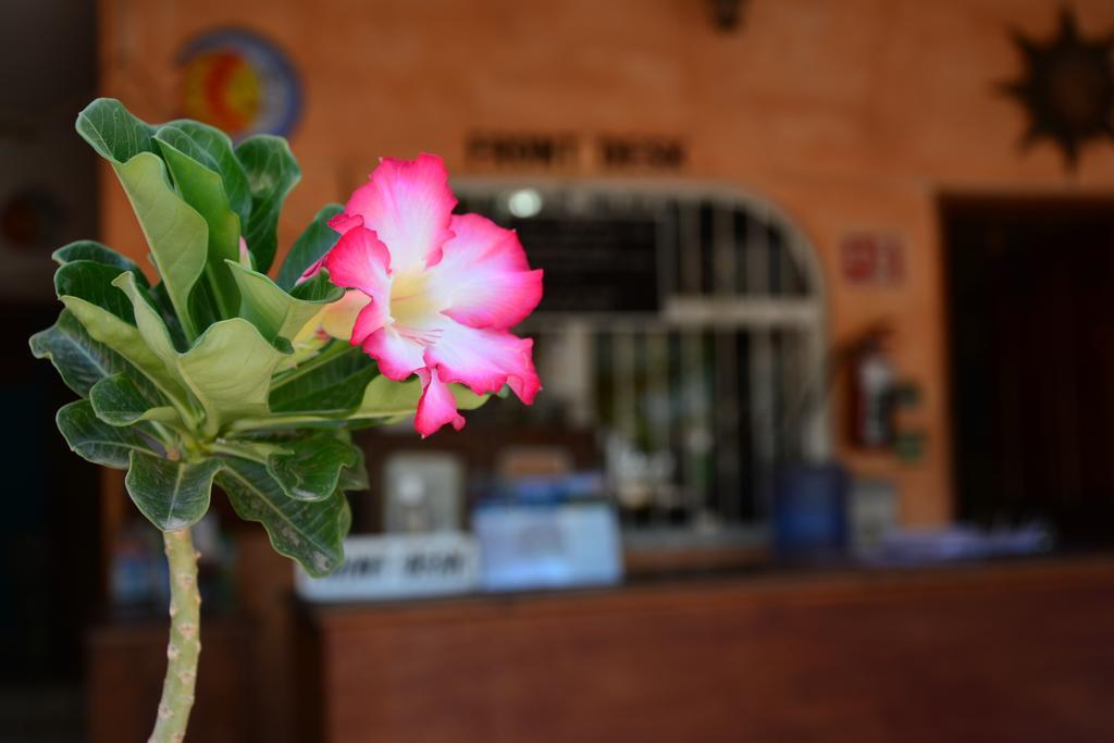 Hotel Posada Luna Sol La Paz Exterior photo